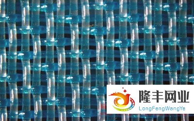 單層成型網(wǎng)-27254