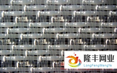 單層成型網(wǎng)-27358