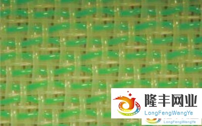 兩層半成形網(wǎng)-2B3616